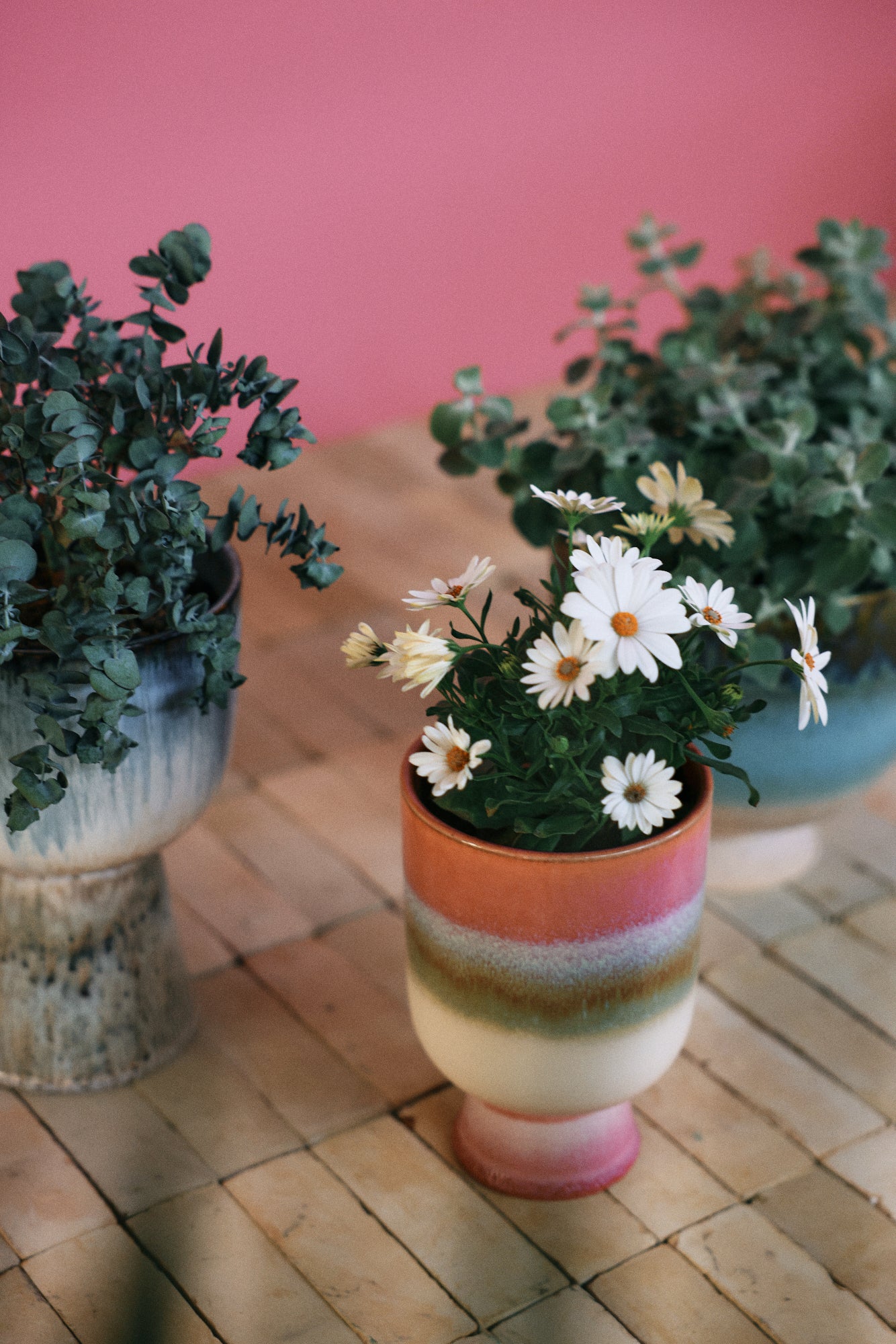 Retro flower pot - Campo di Rose