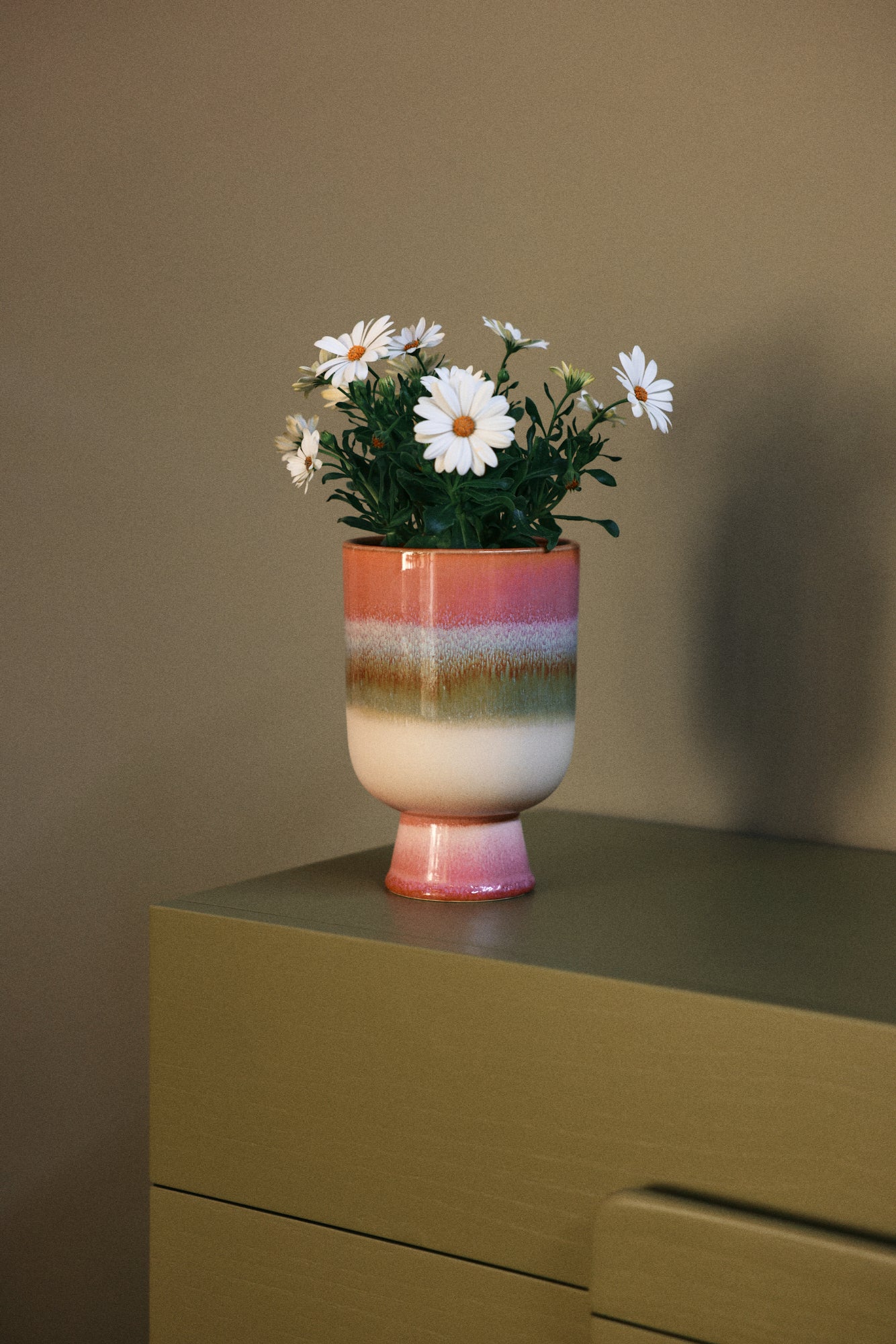 Retro flower pot - Campo di Rose